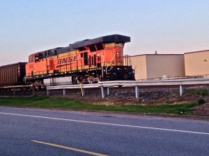IMG_1385.jpg