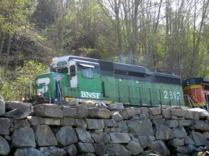 IMG_2789.jpg