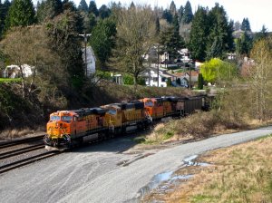 IMG_2801.jpg