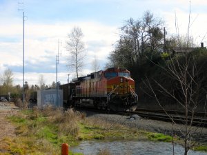 IMG_2808.jpg