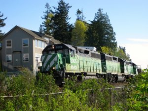 IMG_2809.jpg