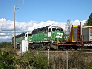 IMG_2810.jpg