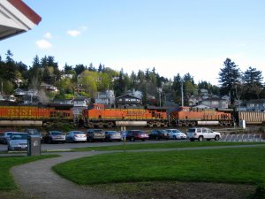 IMG_2812.jpg