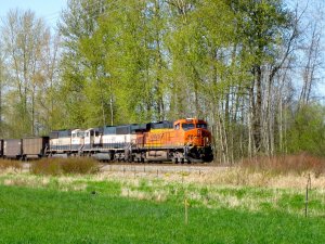 IMG_2838.jpg