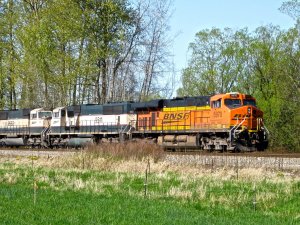 IMG_2839.jpg