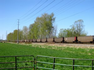 IMG_2844.jpg