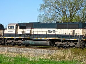 IMG_2841.jpg