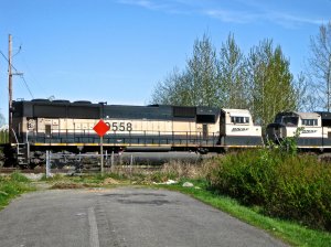 IMG_2842.jpg