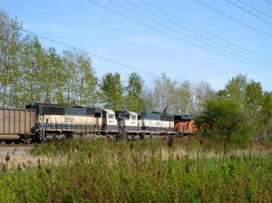IMG_2843.jpg
