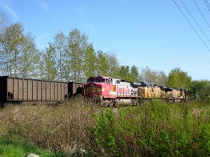 IMG_2845.jpg