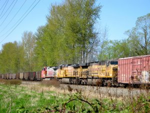 IMG_2846.jpg