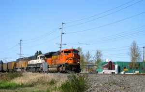 IMG_2847.jpg