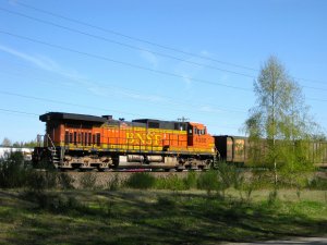 IMG_2851.jpg
