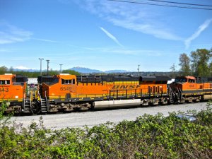 IMG_2834.jpg