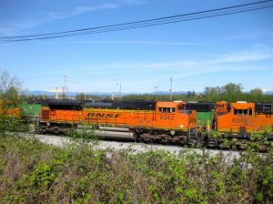 IMG_2835.jpg