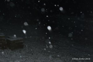 April Snow.jpg