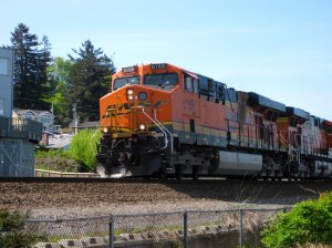 IMG_2855.jpg
