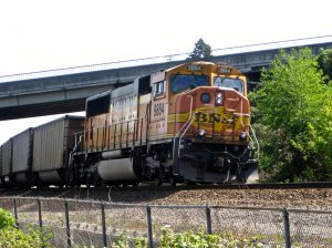 IMG_2859.jpg