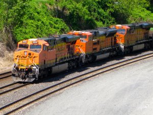 IMG_2862.jpg
