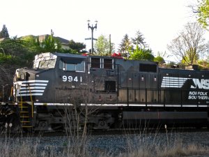 IMG_2869.jpg