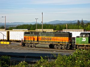 IMG_2872.jpg