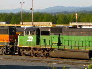 IMG_2873.jpg