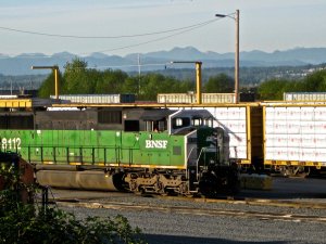 IMG_2874.jpg