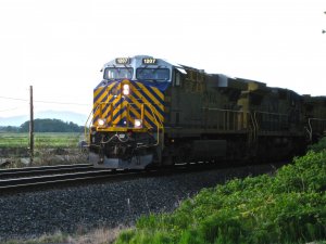 IMG_2875.jpg