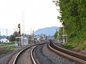 IMG_2878.jpg