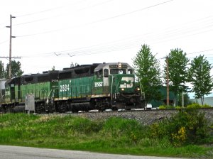 IMG_2883.jpg