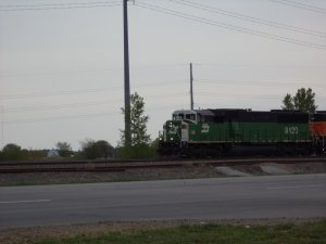 DSC00345.JPG