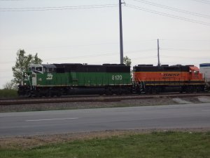 DSC00346.JPG