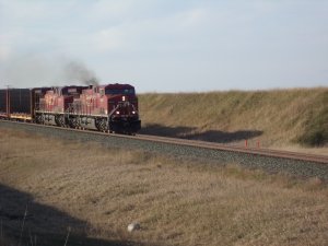 DSC00309.JPG