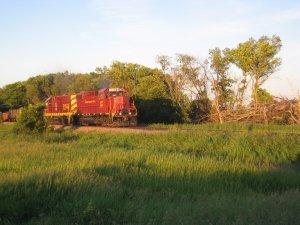IMG_2772.JPG
