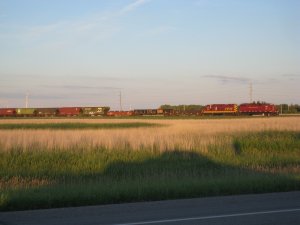IMG_2773.JPG