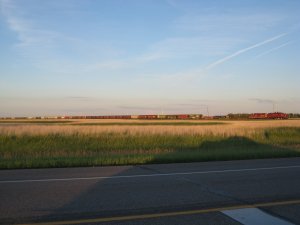 IMG_2774.JPG