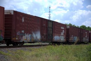 IMG_1650.jpg