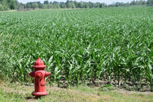 Hydrant_061620.JPG