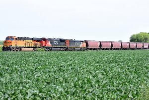 BNSF 4264_4_082020.JPG