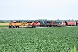 BNSF 4264_5_082020.JPG