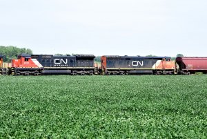CN 2101_082020.JPG