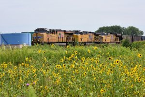 UP 8012_082020.JPG