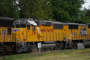 RLZ02066.JPG
