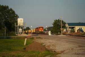 RLZ02130.JPG