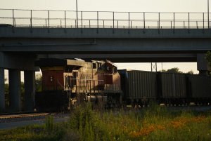 RLZ02138.JPG