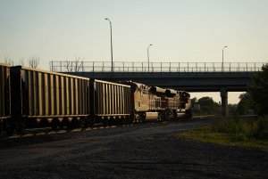 RLZ02133.JPG