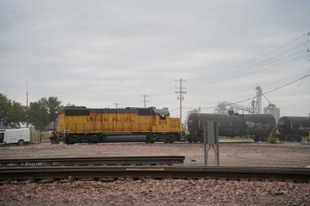 RLZ02794 (2).JPG