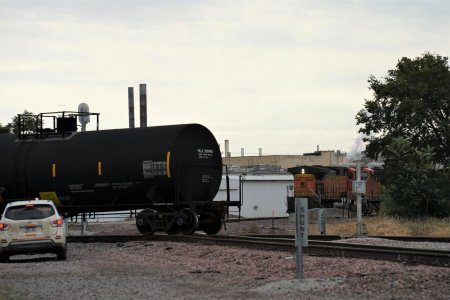 RLZ02803 (3).JPG