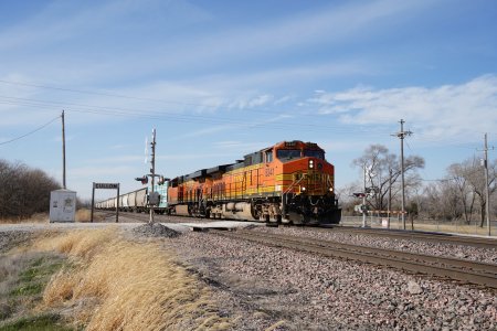 RLZ05289.JPG