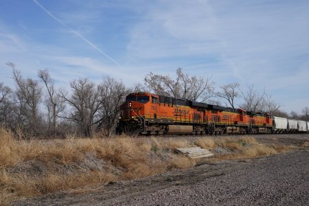 RLZ05298.JPG